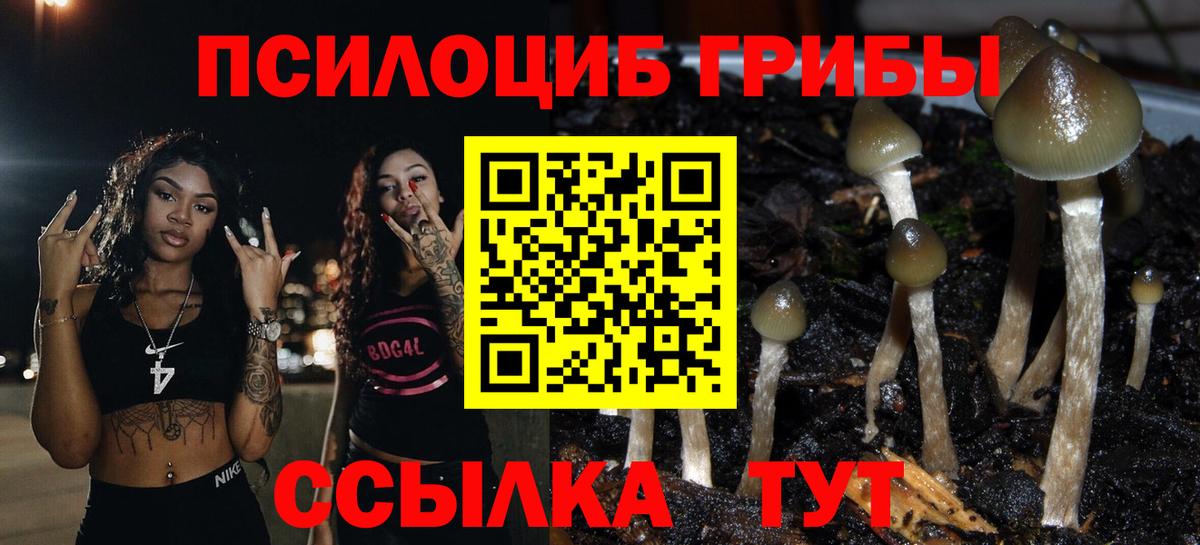 Галлюциногенные грибы мухоморы Кисловодск